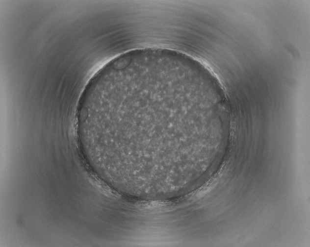 X0000115130879200911171158
