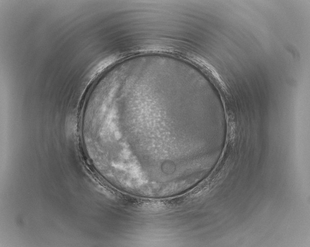 X0000115130882200911171157
