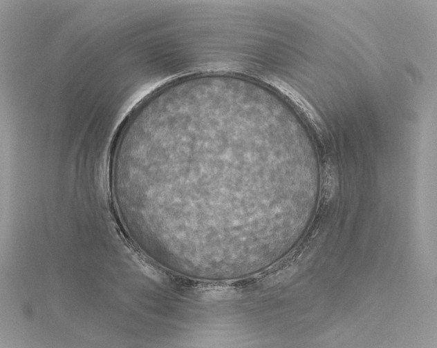X0000115130886200911171157