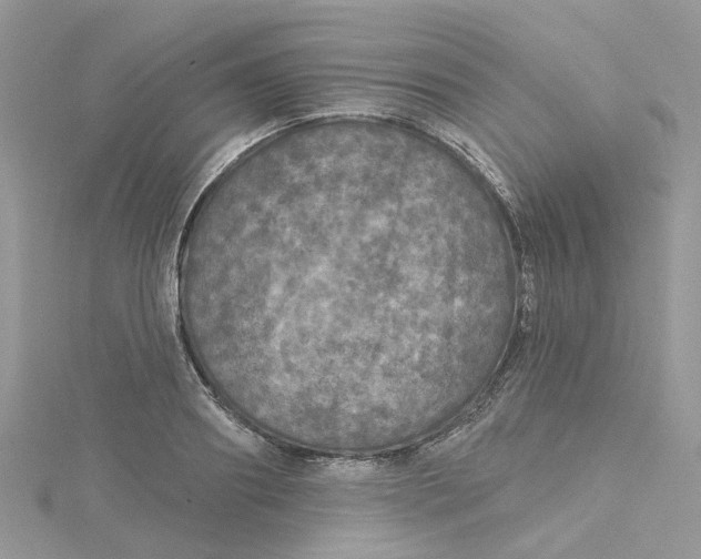 X0000115130890200911171157