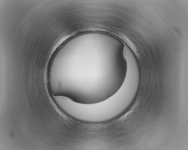 X0000115130893200911171157