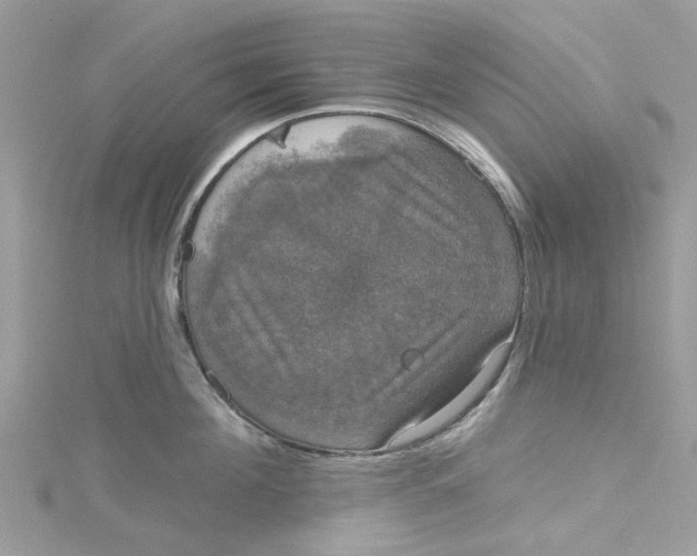 X0000115130908200911171157
