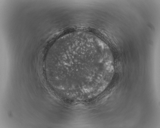 X0000115130913200911171156