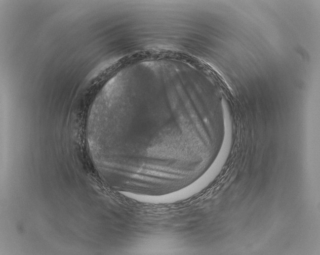 X0000115130919200911171156
