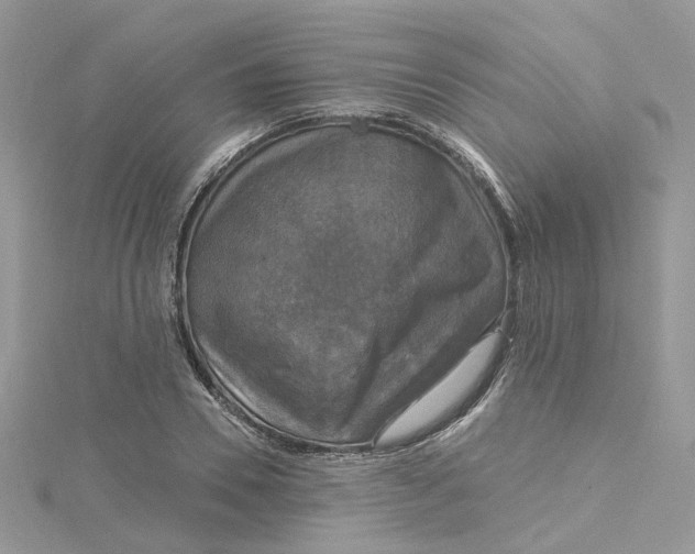 X0000115130930200911171157