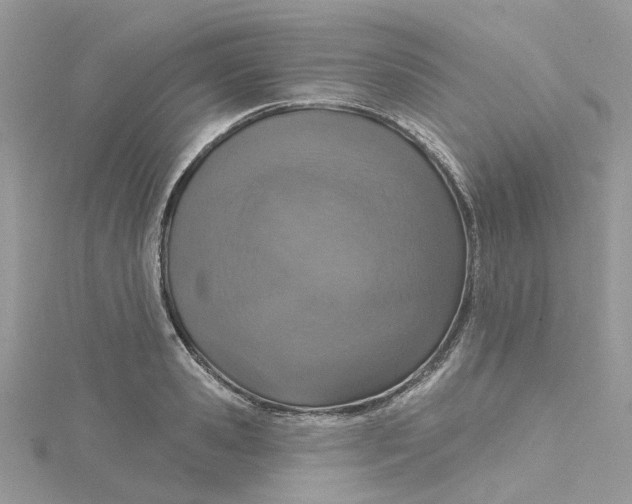 X0000115130941200911171157