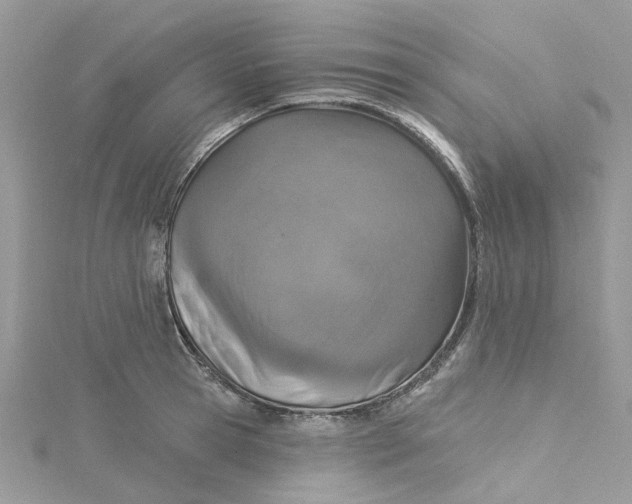 X0000115130945200911171157