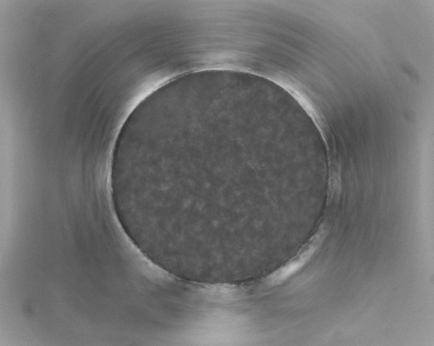 X0000115130957200911171157