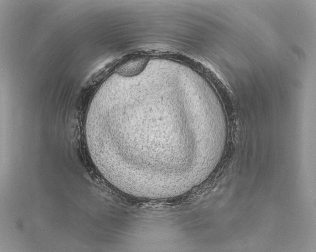 X0000115130967200911171156