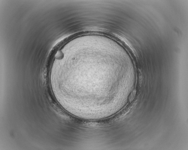 X0000115130971200911171156