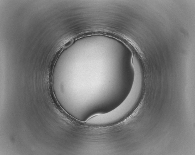 X0000115130977200911171156