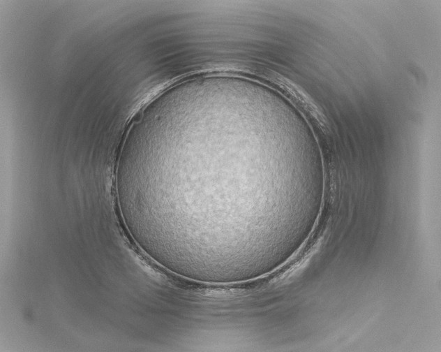 X0000115130985200911171156