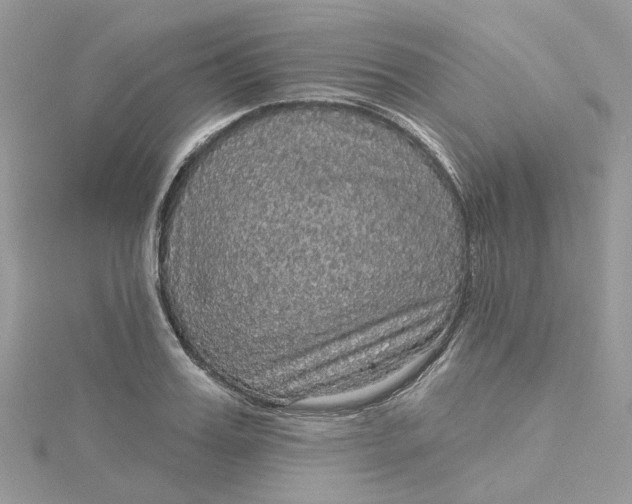 X0000115130987200911171156