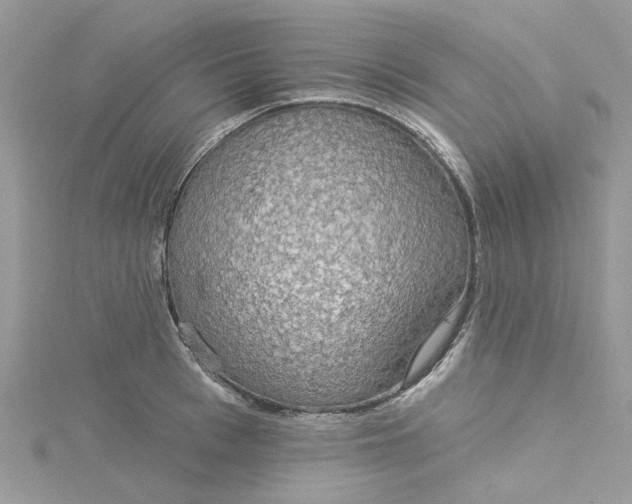 X0000115130993200911171156