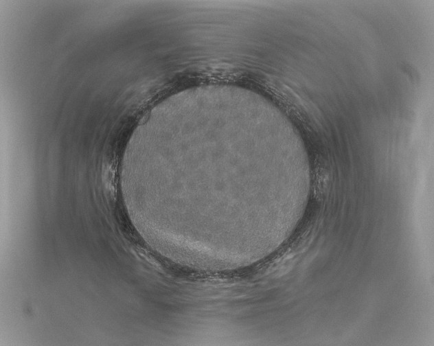 X0000115131010200911171155