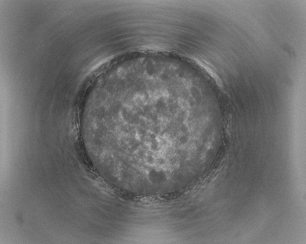 X0000115131015200911171155