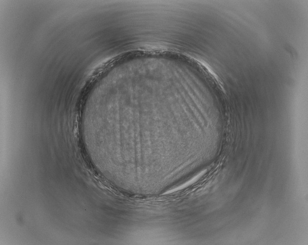 X0000115131016200911171155