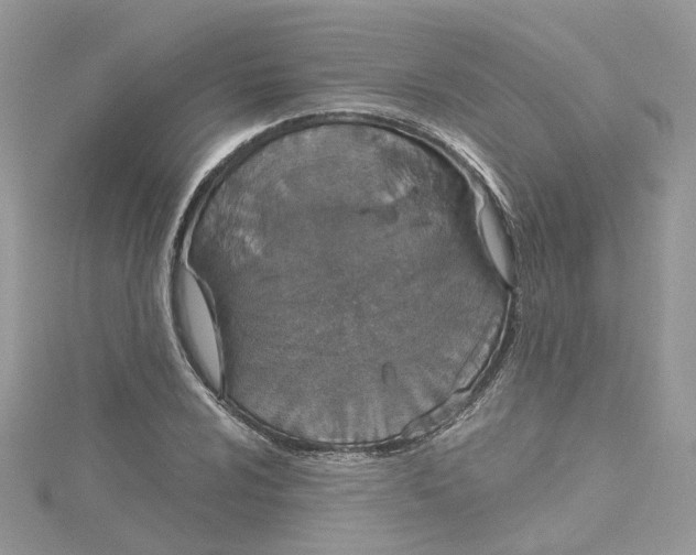 X0000115131024200911171155