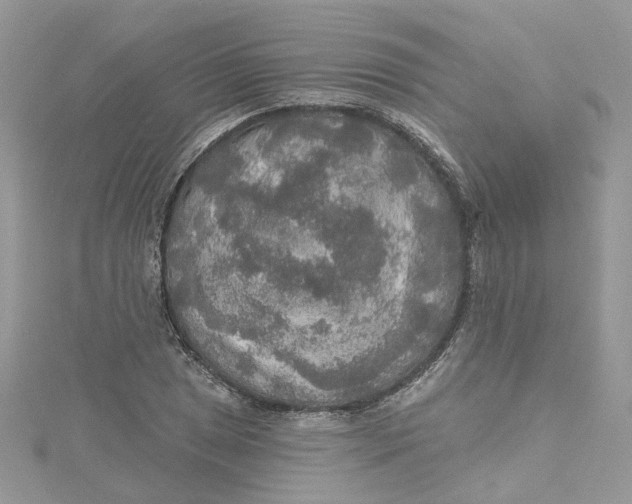 X0000115131025200911171155