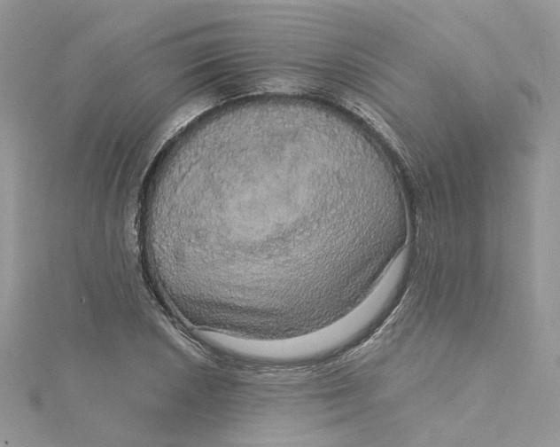 X0000115131026200911171155