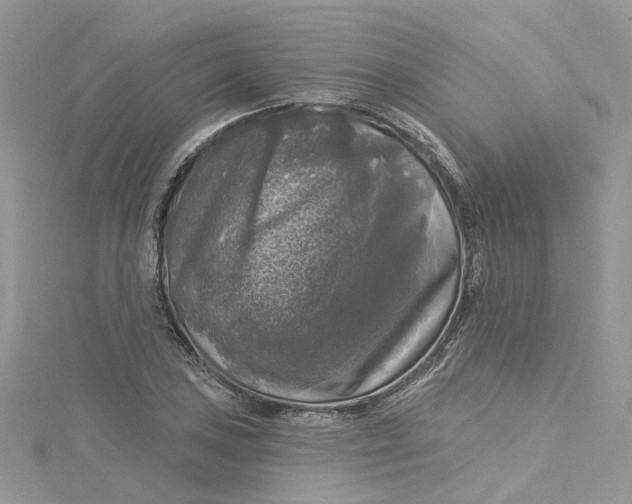 X0000115131027200911171155