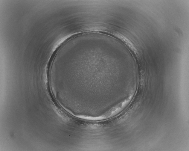 X0000115131031200911171155