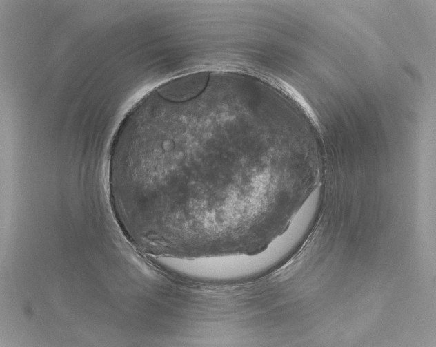 X0000115131035200911171155