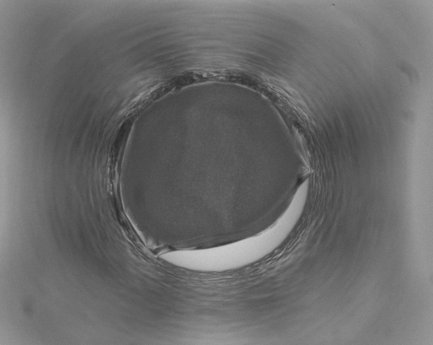 X0000115131060200911171155
