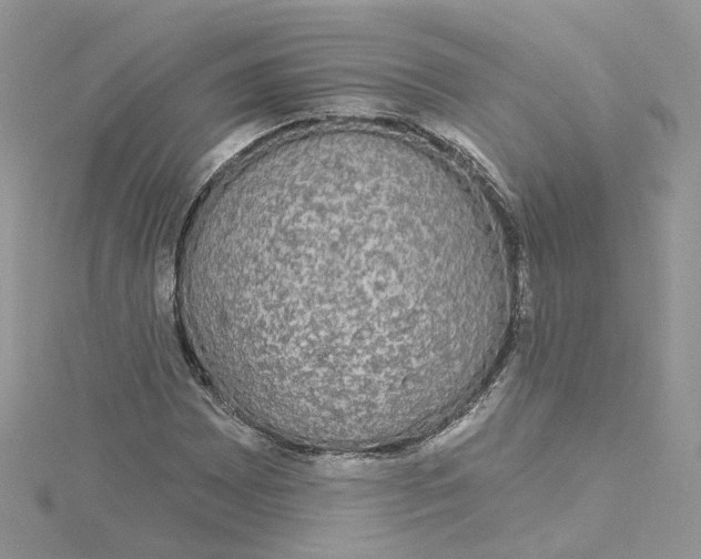 X0000115131065200911171155
