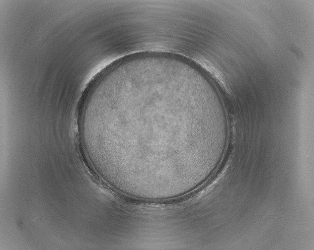 X0000115131070200911171155