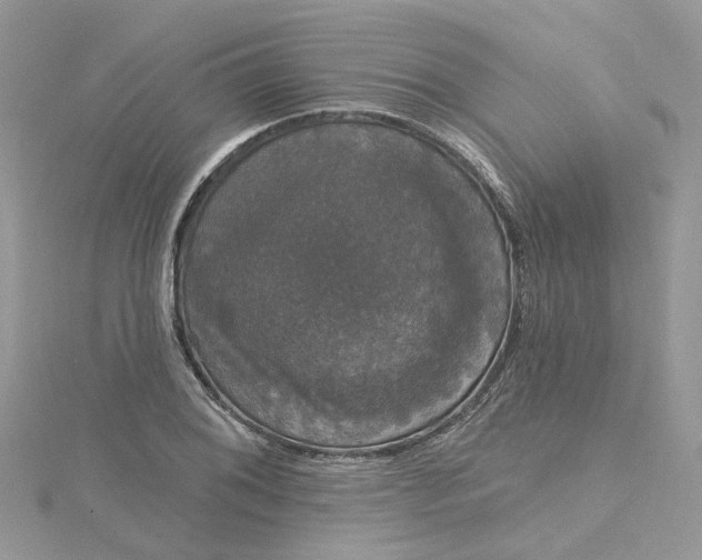 X0000115131076200911171155