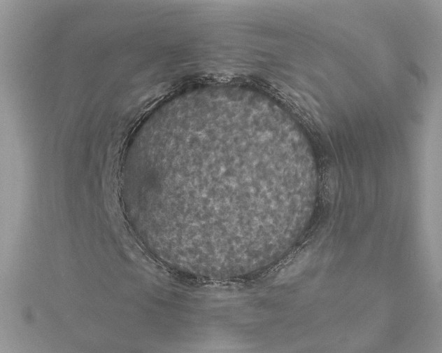 X0000115131105200911171154