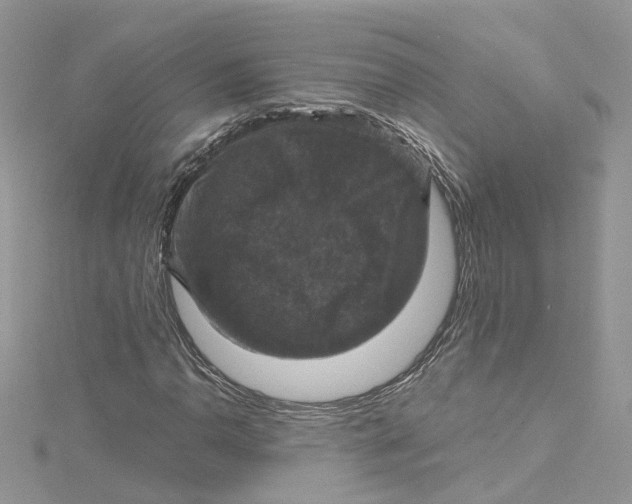 X0000115131110200911171154