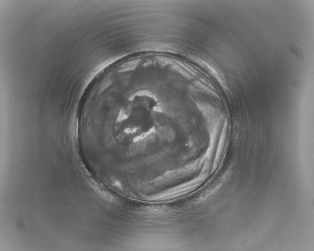 X0000115131125200911171154