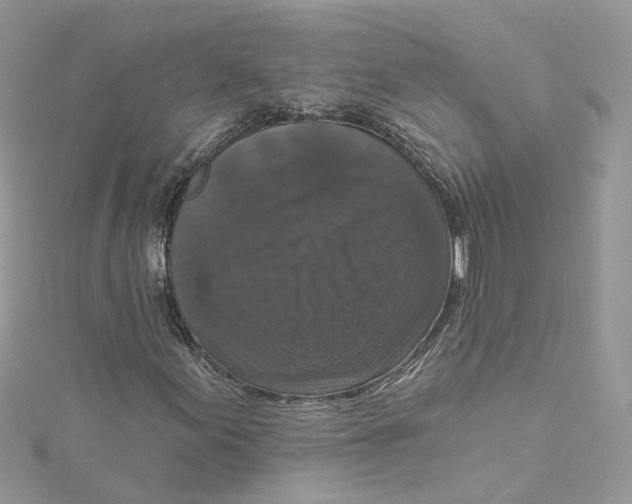 X0000115131155200911171153