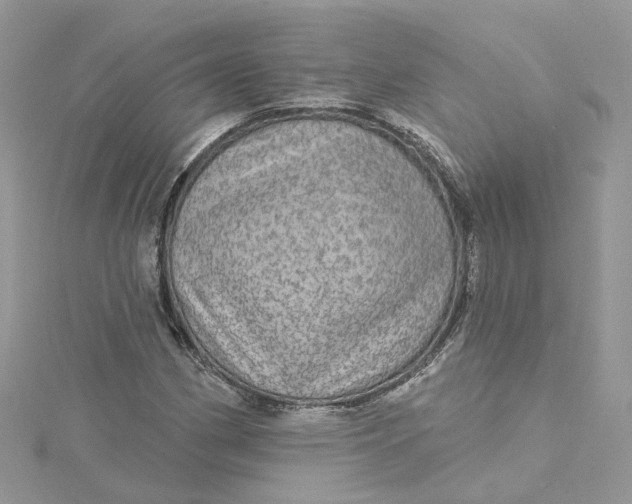 X0000115131162200911171153