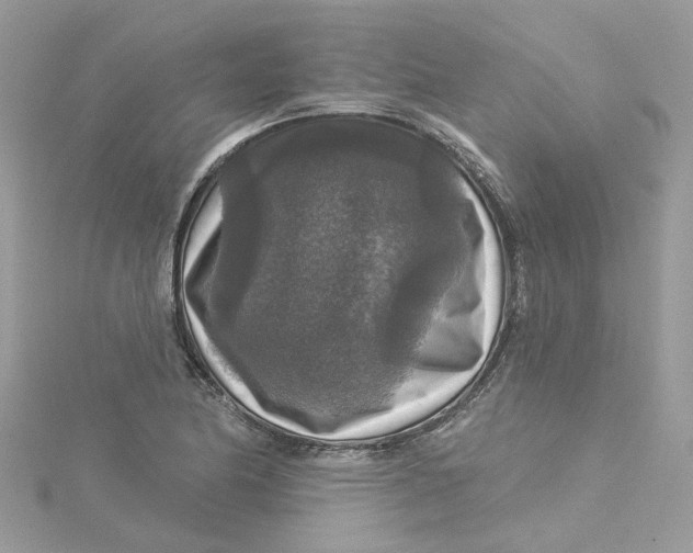 X0000115131174200911171153