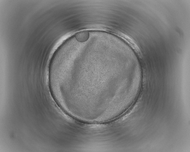 X0000115131188200911171153