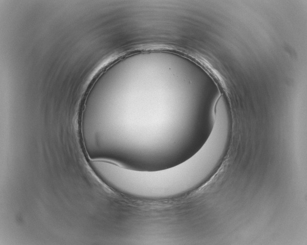 X0000115131189200911171153