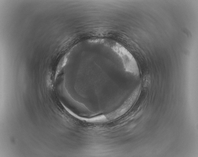 X0000115131202200911171152