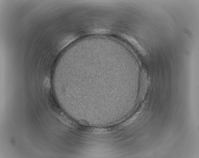 X0000115131209200911171152