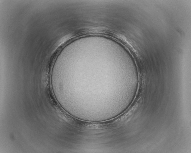 X0000115131211200911171152