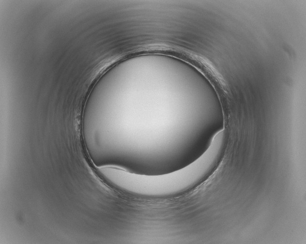X0000115131225200911171153