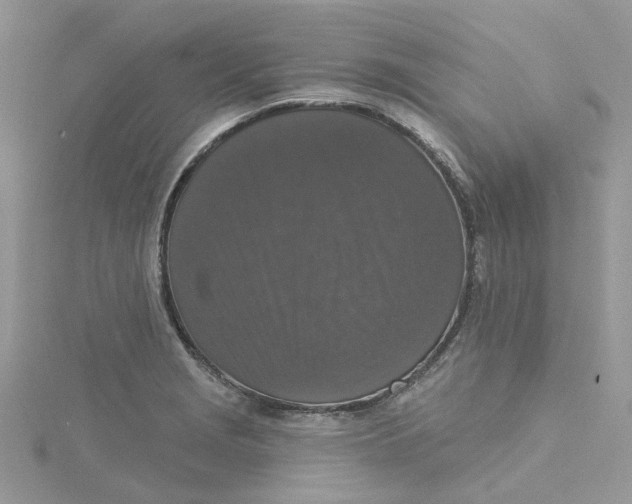 X0000115131229200911171153
