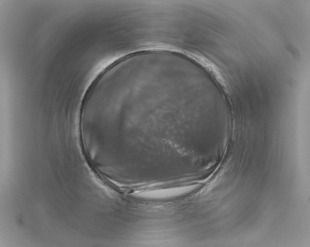 X0000115131231200911171153