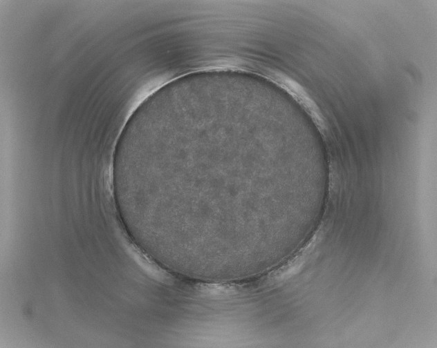 X0000115131234200911171153