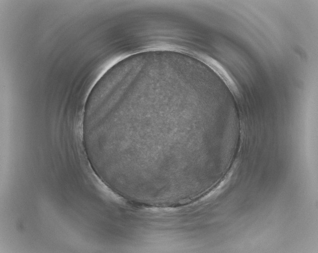 X0000115131244200911171153