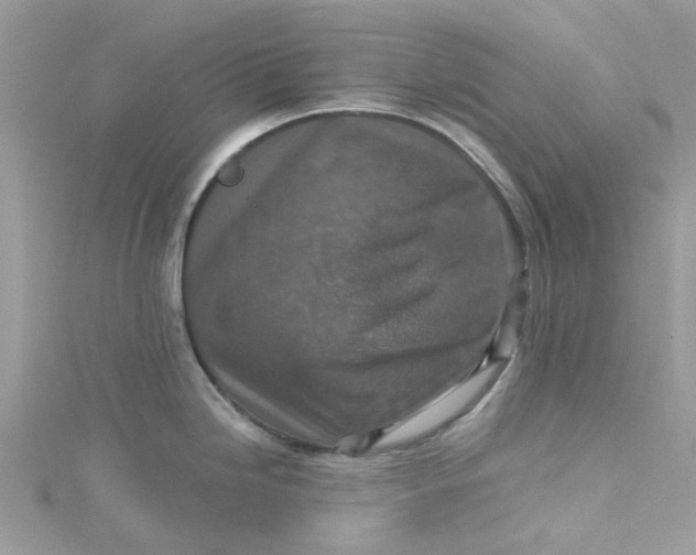X0000115131246200911171153