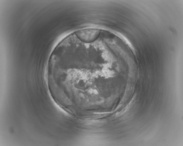 X0000115131247200911171153