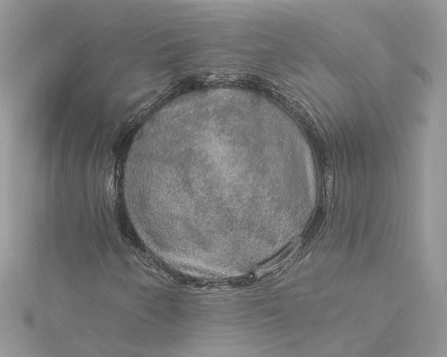 X0000115131250200911171152